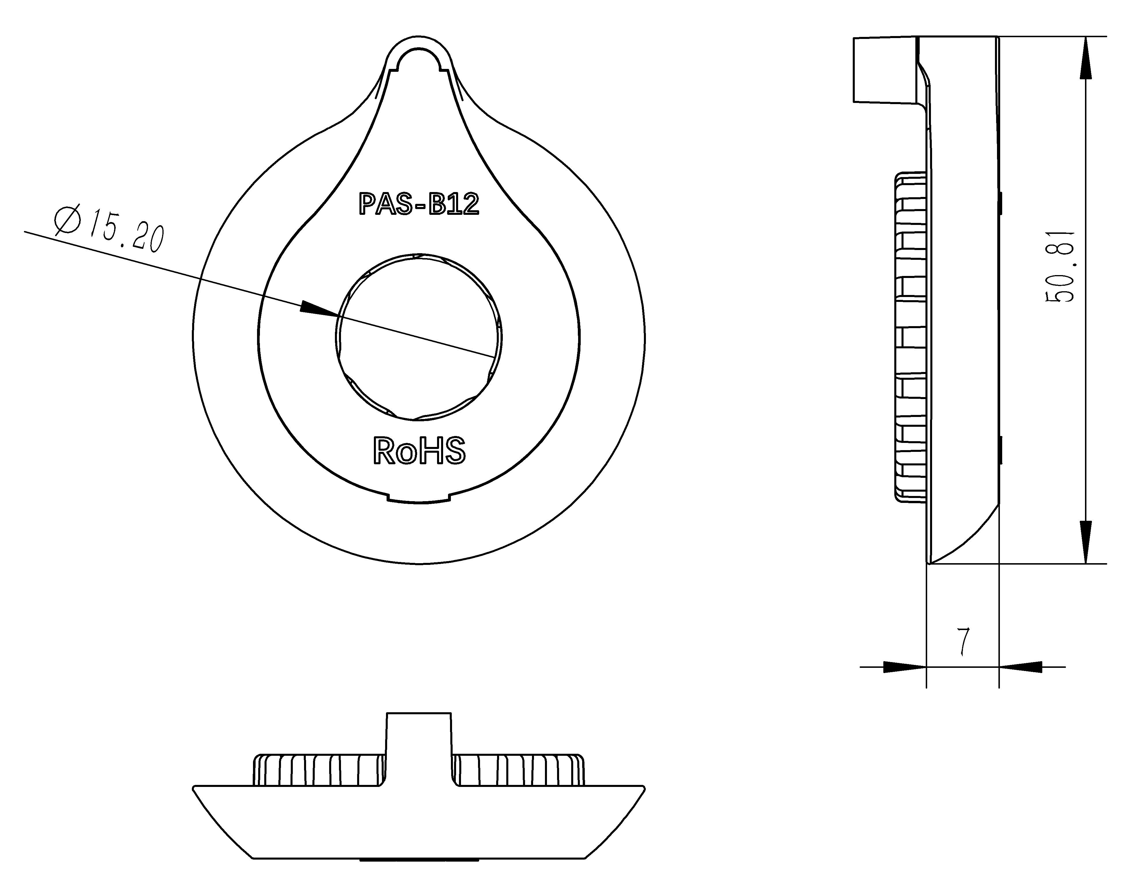 PAS-B12.JPG